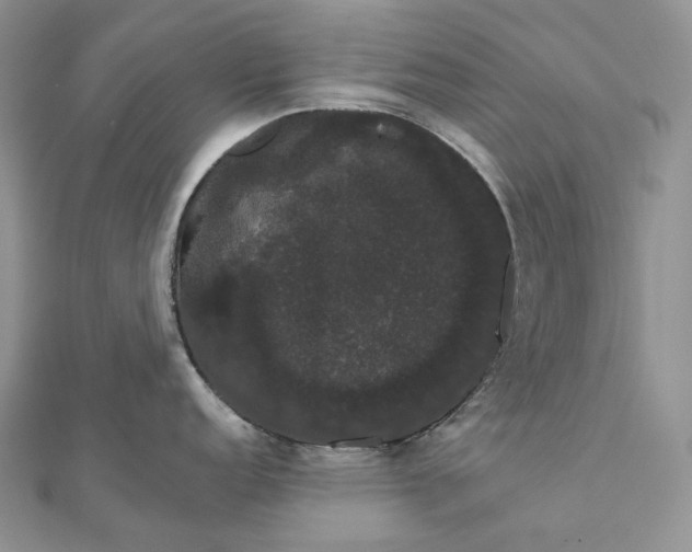 X0000111801152200908061153