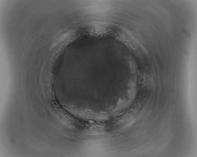 X0000111801153200908061152