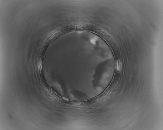 X0000111801155200908061152