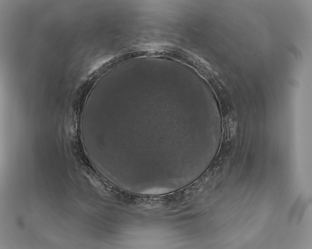 X0000111801158200908061152