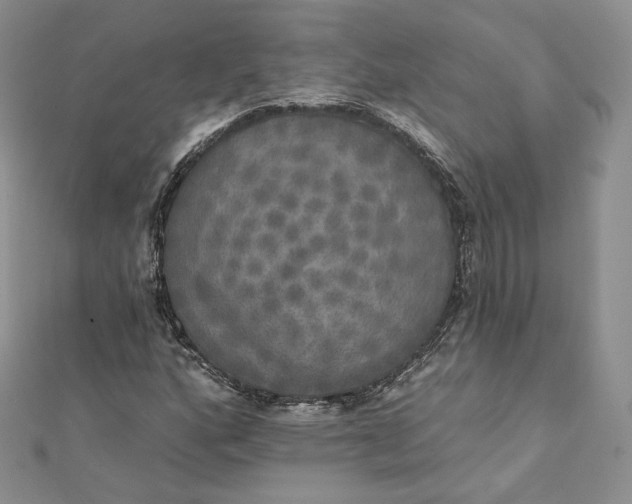 X0000111801160200908061152