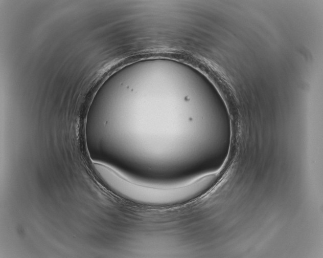 X0000111801161200908061152