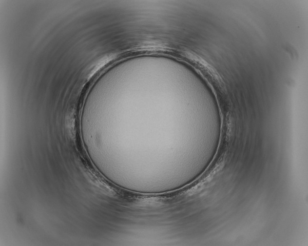 X0000111801162200908061152