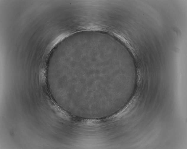 X0000111801163200908061152