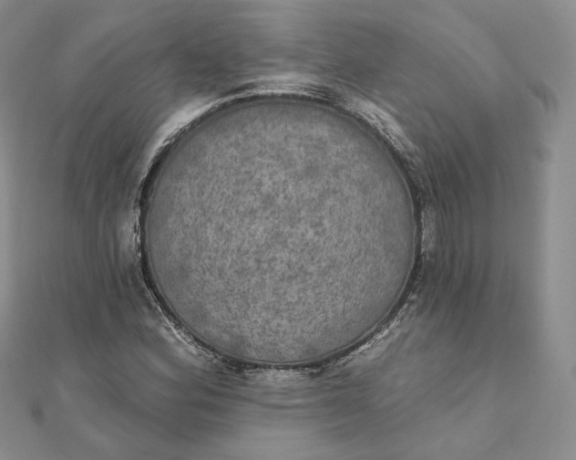 X0000111801164200908061152