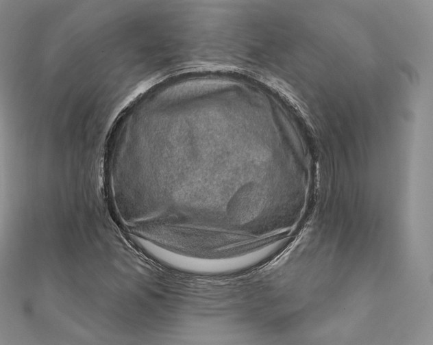 X0000111801165200908061152