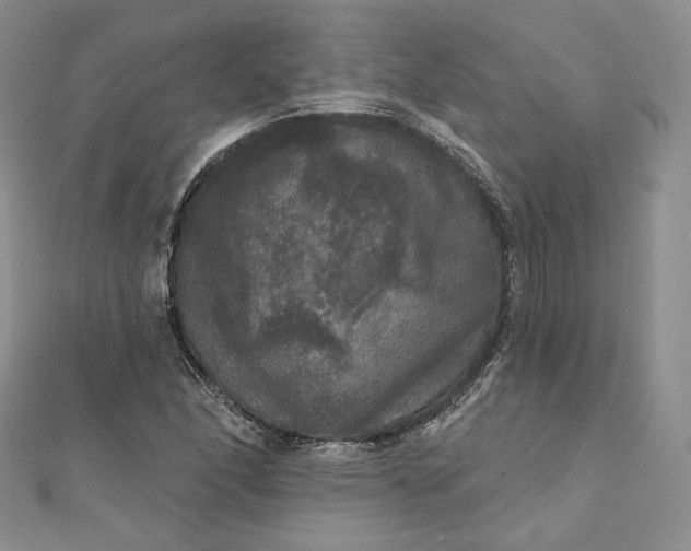 X0000111801166200908061152