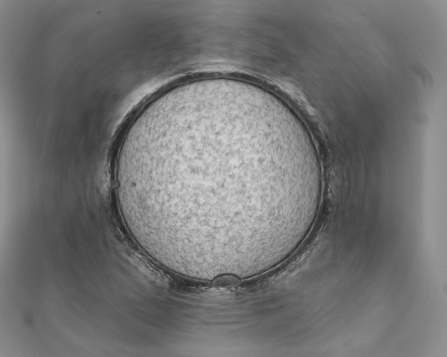 X0000111801167200908061152