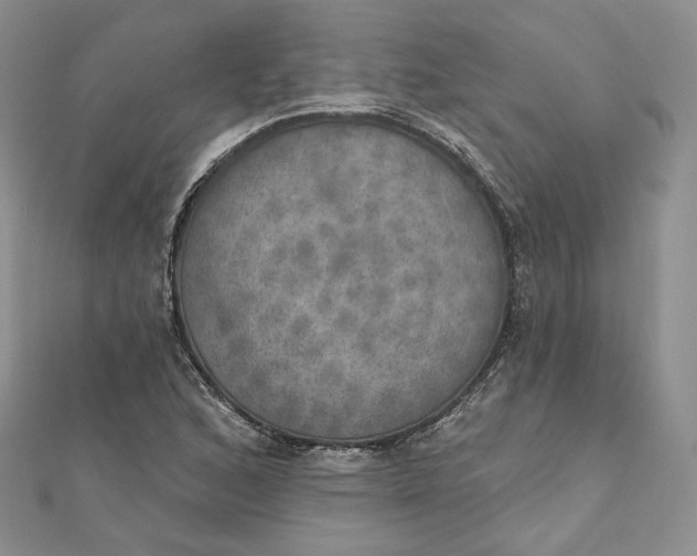 X0000111801168200908061152