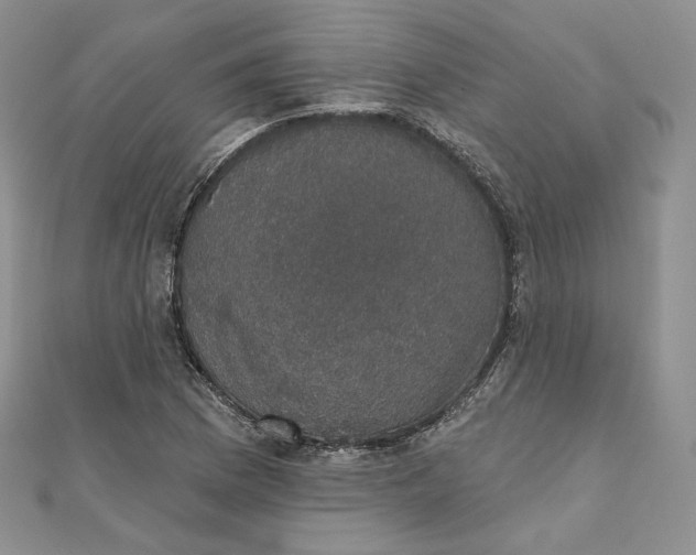 X0000111801169200908061152