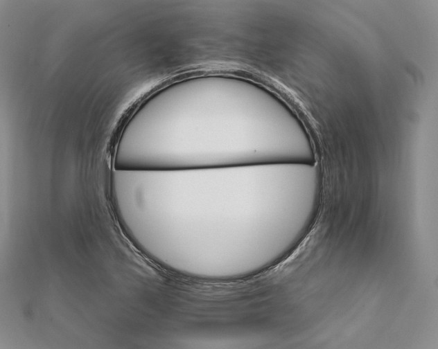 X0000111801171200908061152