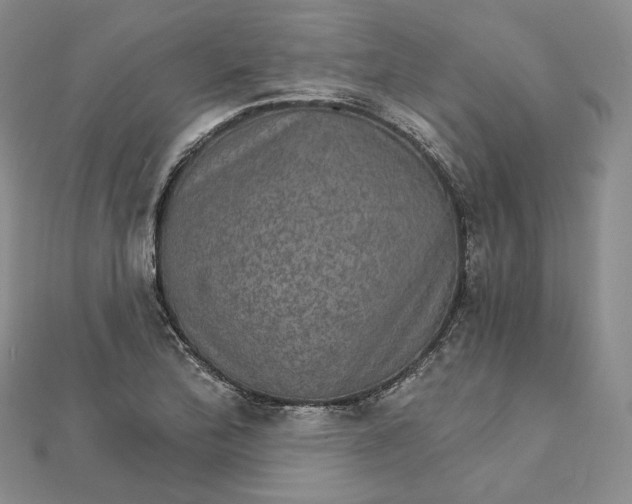 X0000111801172200908061151