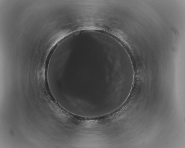 X0000111801173200908061151