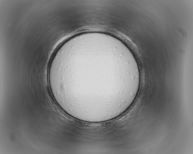 X0000111801174200908061151