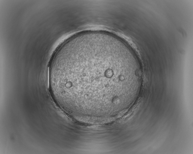 X0000111801175200908061151