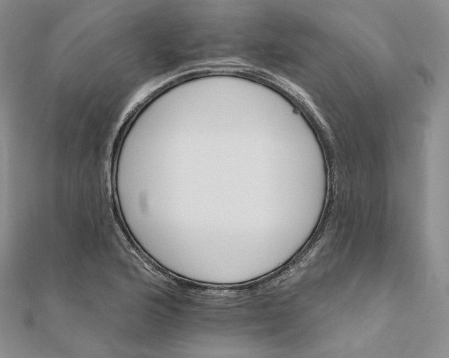 X0000111801176200908061151