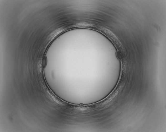 X0000111801177200908061151