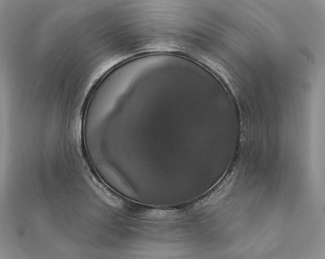 X0000111801179200908061151