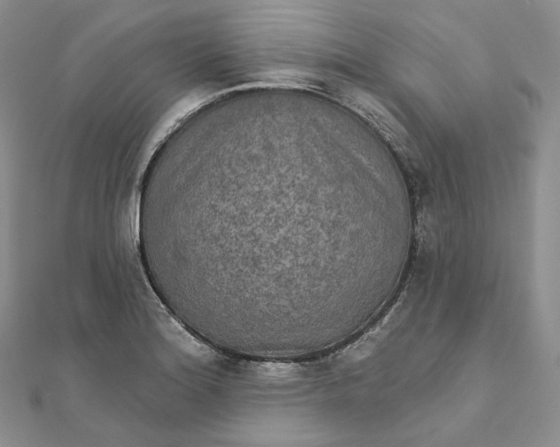 X0000111801180200908061151