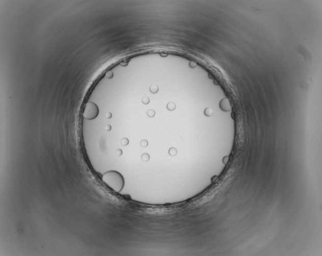 X0000111801182200908061151