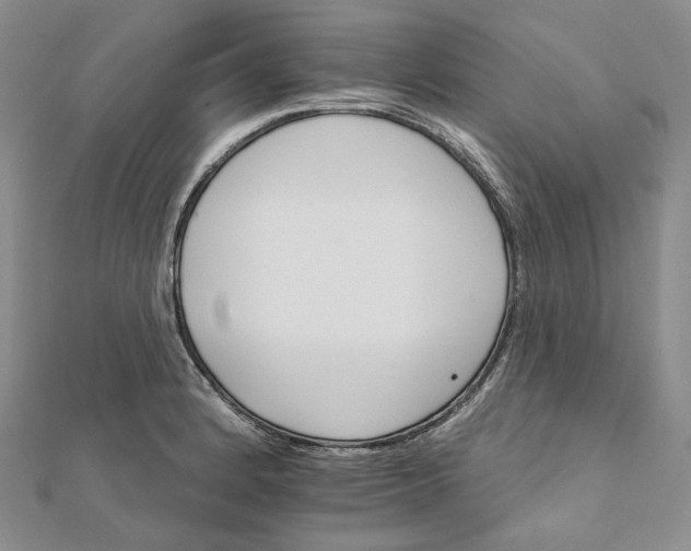 X0000111801184200908061151