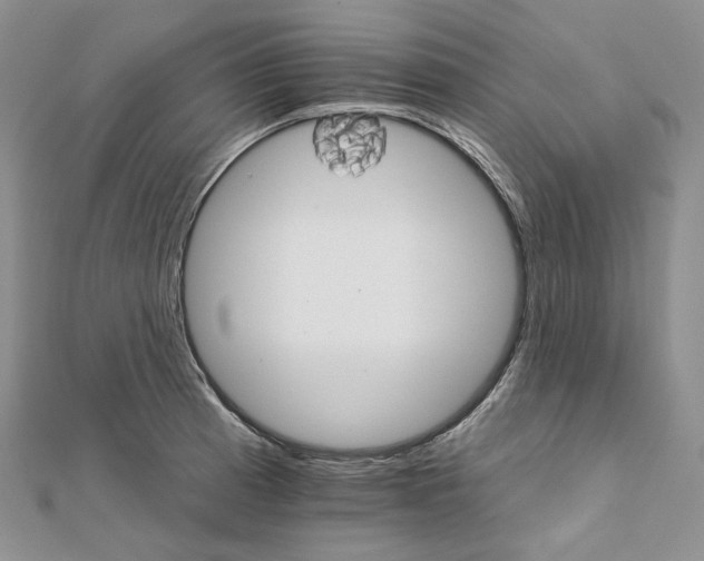 X0000111801185200908061151