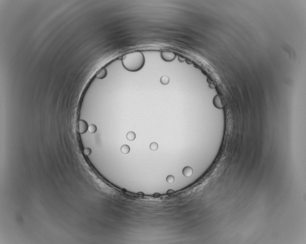 X0000111801186200908061151