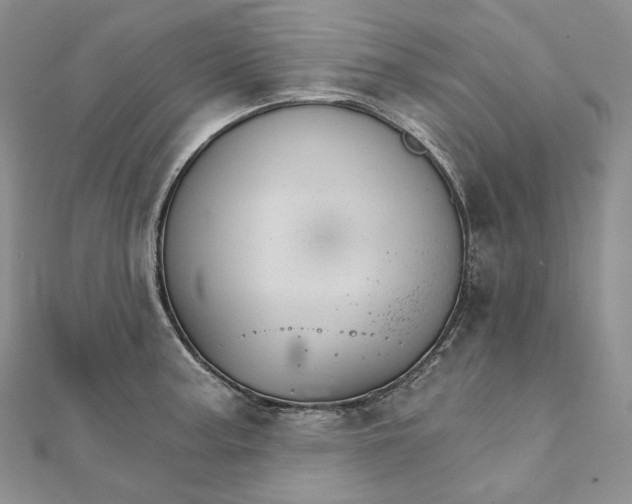 X0000111801187200908061151