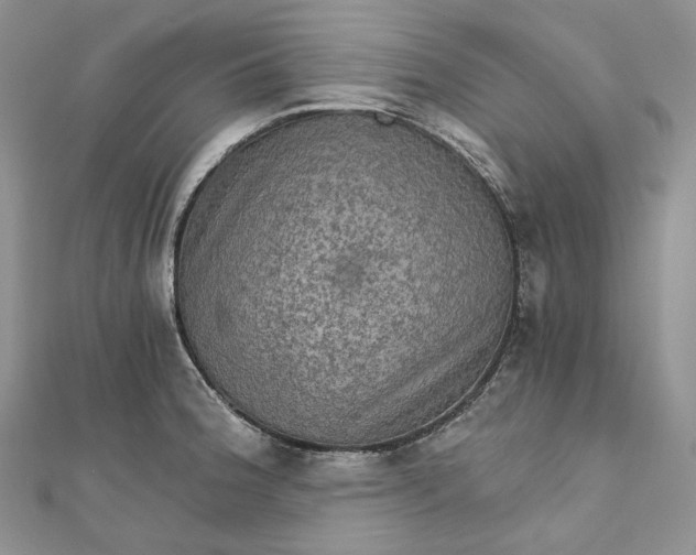 X0000111801188200908061151