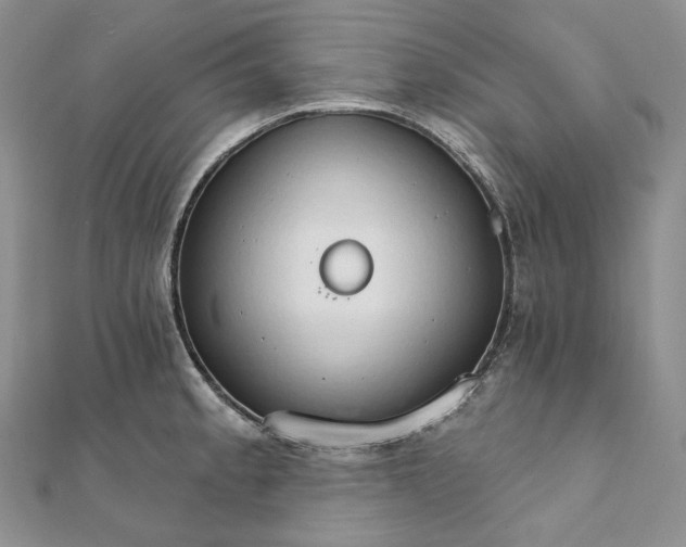 X0000111801189200908061151