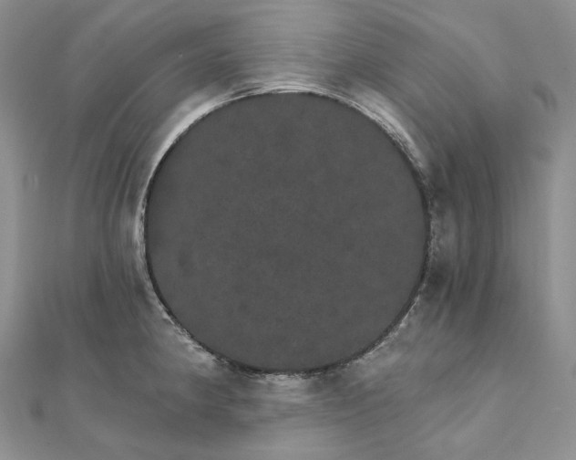 X0000111801190200908061151