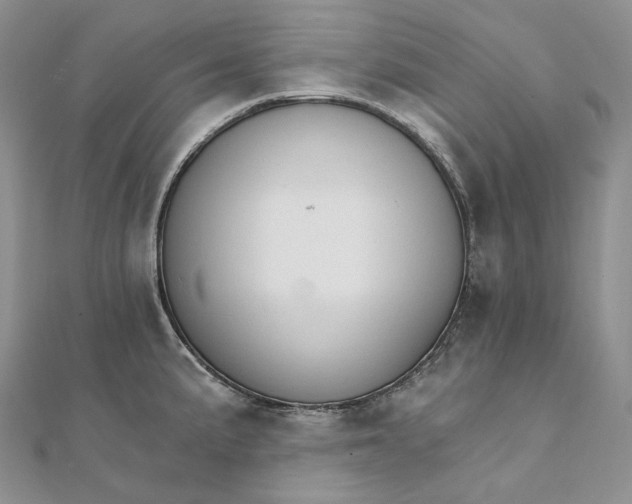 X0000111801191200908061151