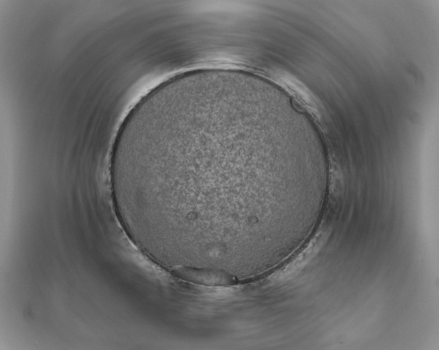 X0000111801192200908061151