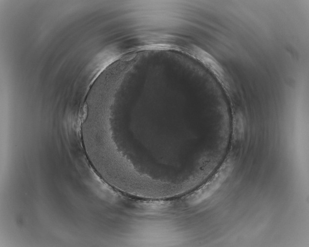 X0000111801193200908061151