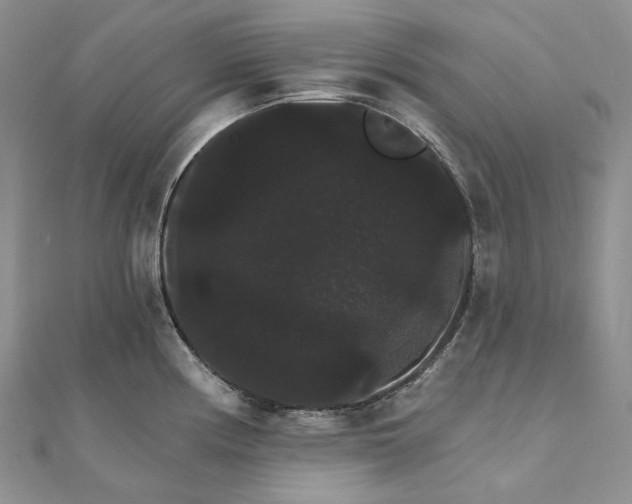 X0000111801194200908061151