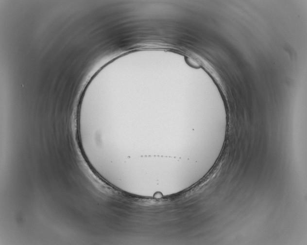 X0000111801195200908061151