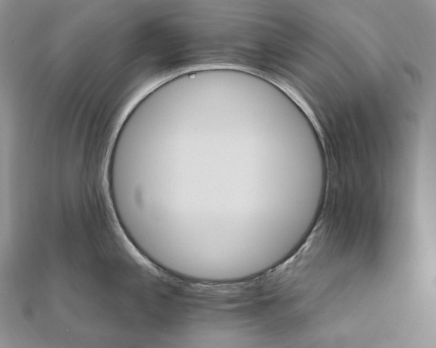 X0000111801197200908061151