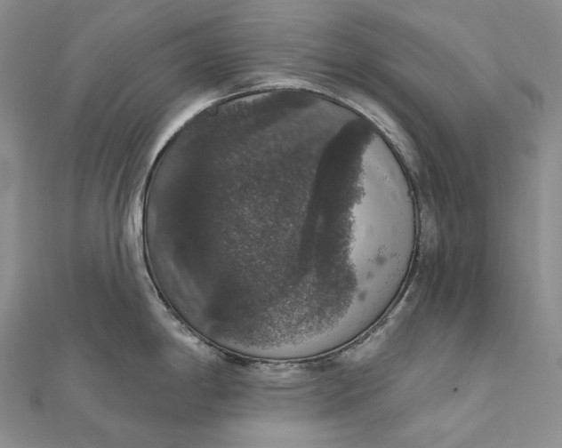 X0000111801198200908061151