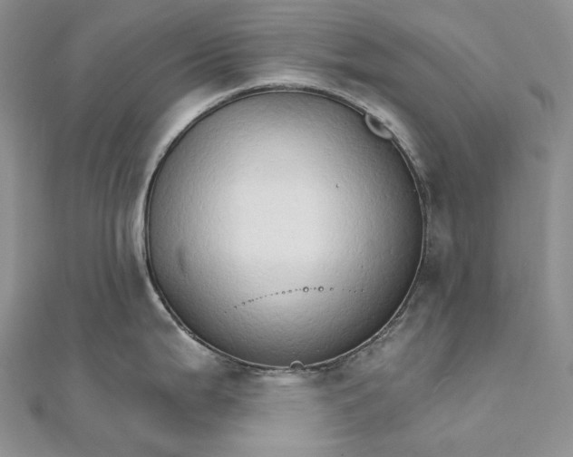 X0000111801199200908061151