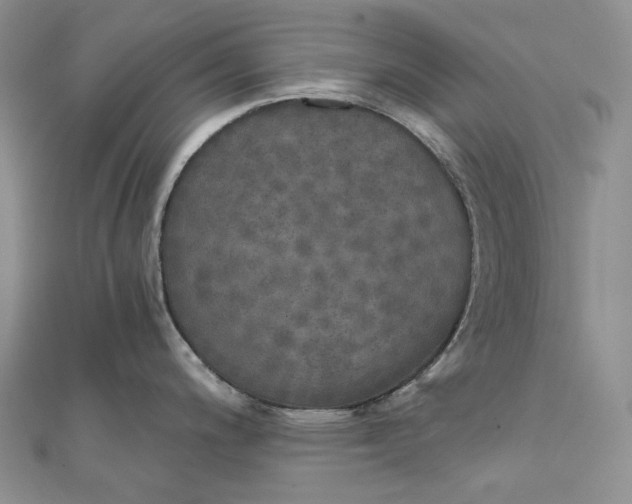 X0000111801200200908061151