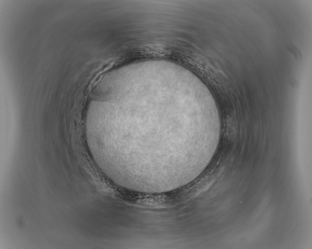 X0000111801201200908061151