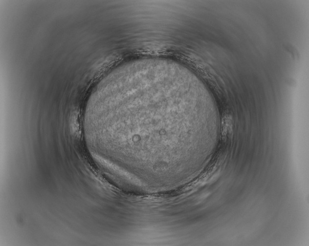 X0000111801202200908061151