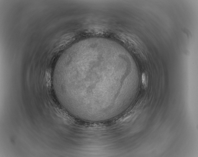 X0000111801203200908061151