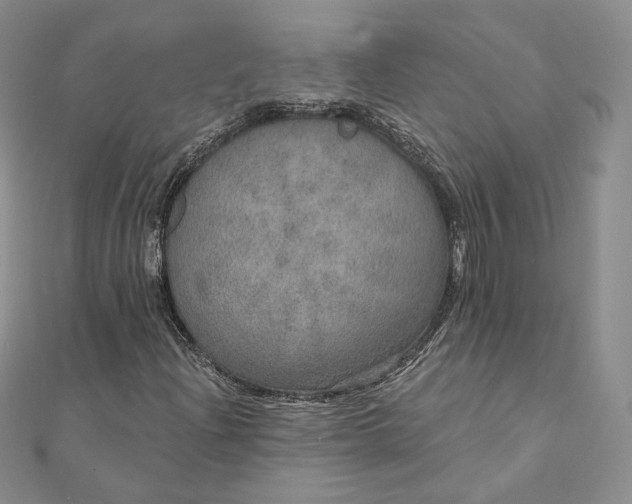 X0000111801204200908061151