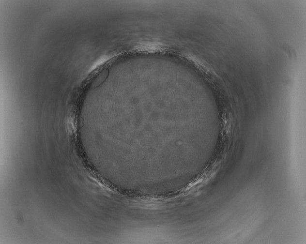 X0000111801206200908061151