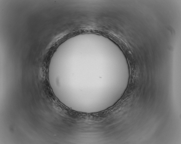 X0000111801207200908061151