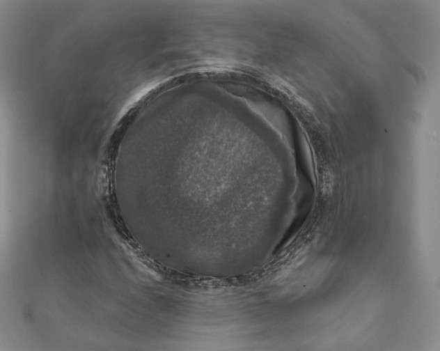 X0000111801208200908061151