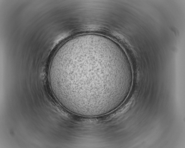 X0000111801210200908061151