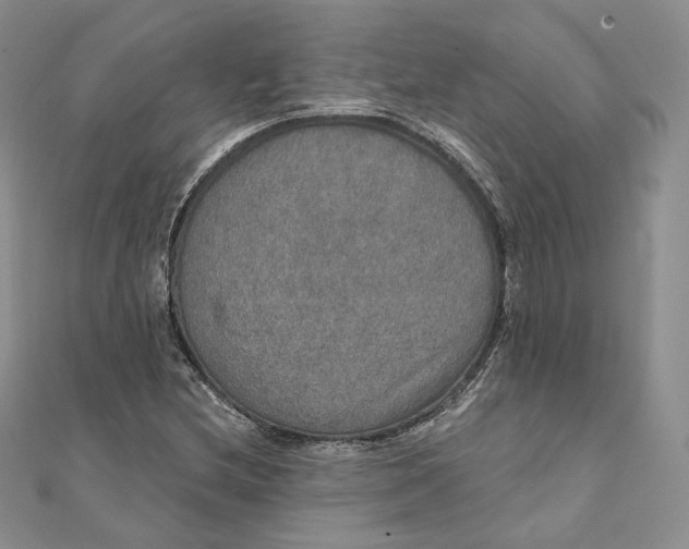 X0000111801212200908061151