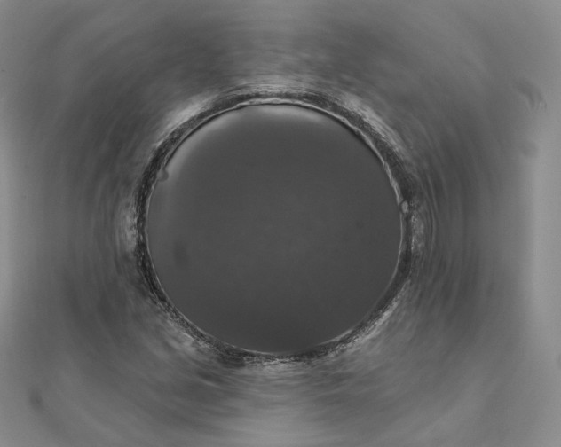 X0000111801213200908061151